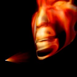 The Face
